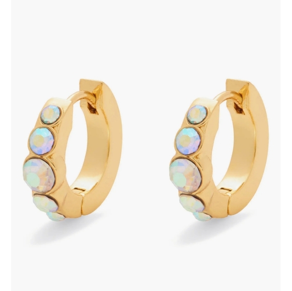 Kurt Geiger Gold-Tone Huggie Hoop Earrings In Pink, Blue Or Crystal, NWT In Box - Picture 3 of 9